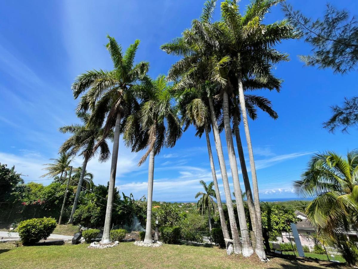 Peaceful Palms Montego Bay Hotel Exterior photo