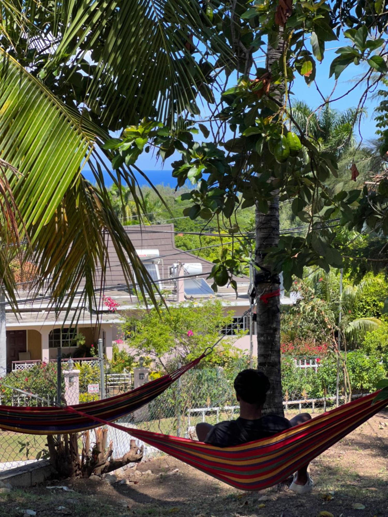 Peaceful Palms Montego Bay Hotel Exterior photo